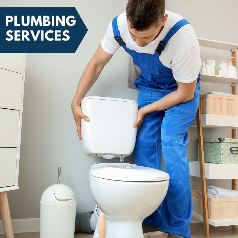 Plumbing Company in Cambria, IL